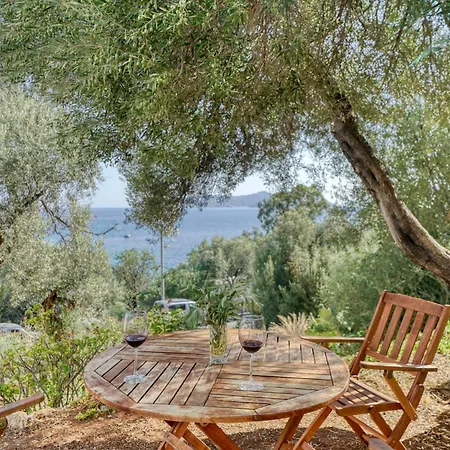Bluenook Appartement Kaş